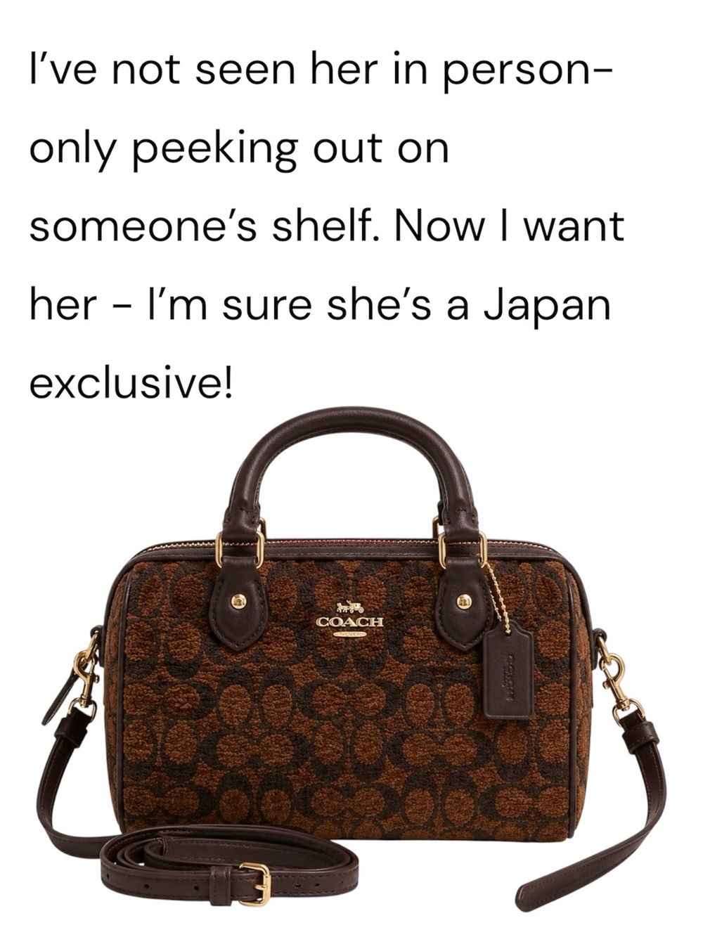 ISO Coach Bags  *Not for sale*
